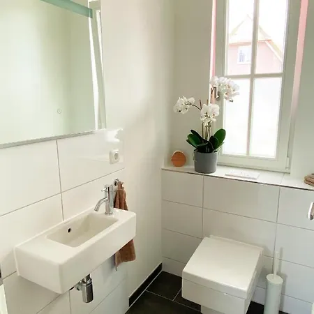 Haus Zwischen Muehle Und *