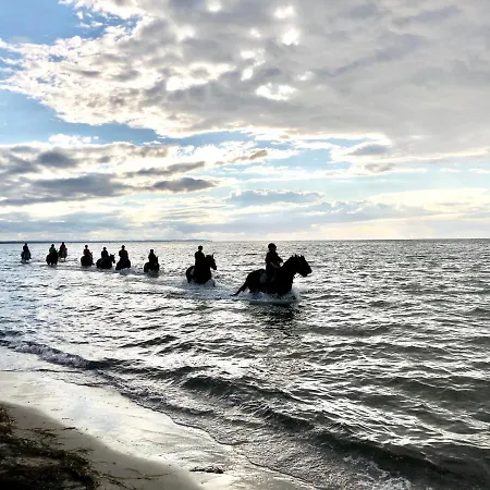 Apartment Haus Zwischen Muehle Und *