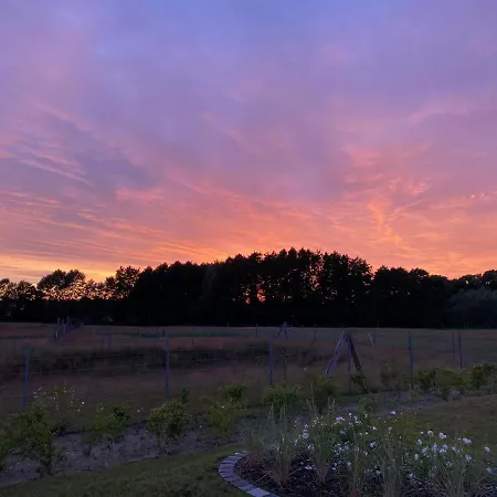 Haus Zwischen Muehle Und *