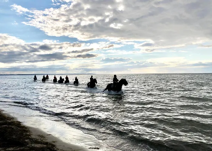 Apartament Haus Zwischen Muehle Und *