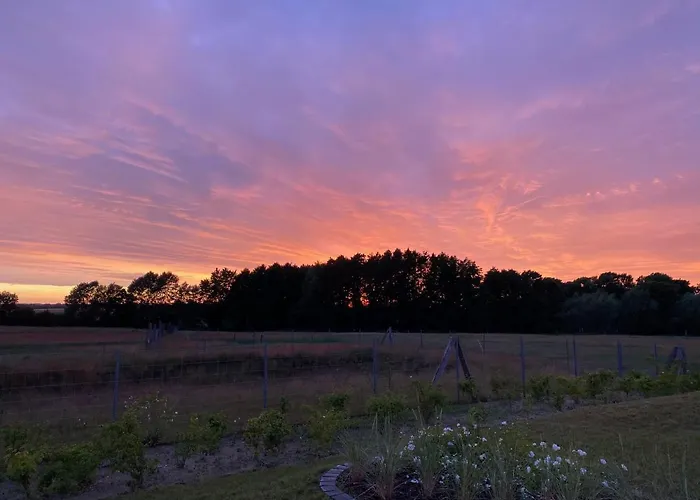 Haus Zwischen Muehle Und *
